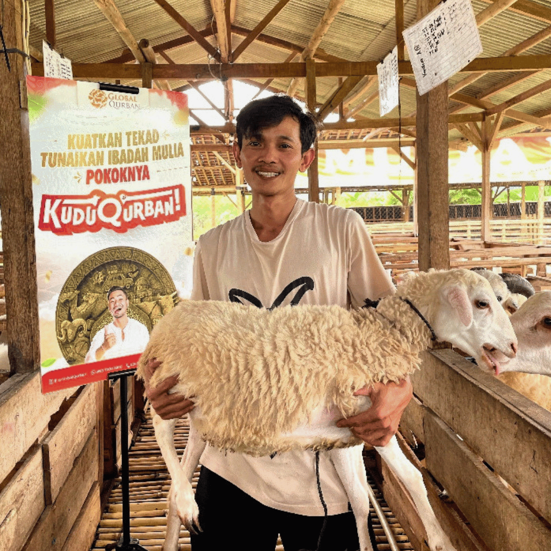 Kandangku Farm